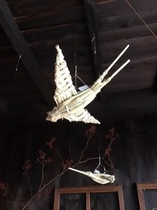 C2277B52-357E-44CD-9516-07C05D2D0F8A.jpeg
