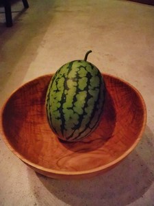 DSCF2283 (480x640).jpg