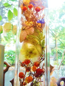 DSCF6066.JPG
