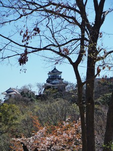 DSCF6305.JPG
