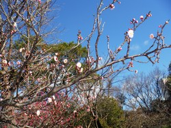 DSCF6969.JPG