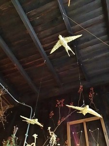 IMG_0898 (480x640).jpg