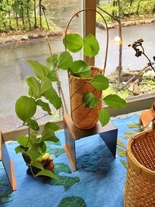 IMG_1235.jpg