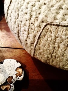 IMG_2182.JPG
